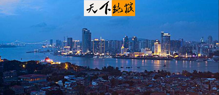 福建美食秘境，小巷深处的独特风味探索之旅