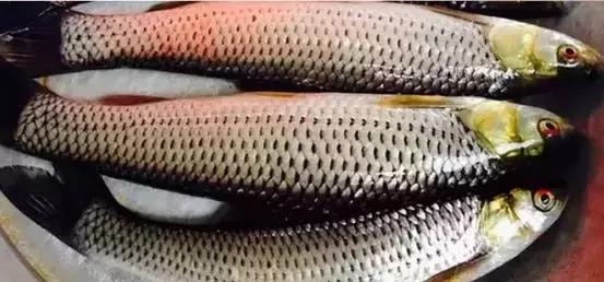 海南,发展与保护的双重挑战与机遇——探寻我的观点之路